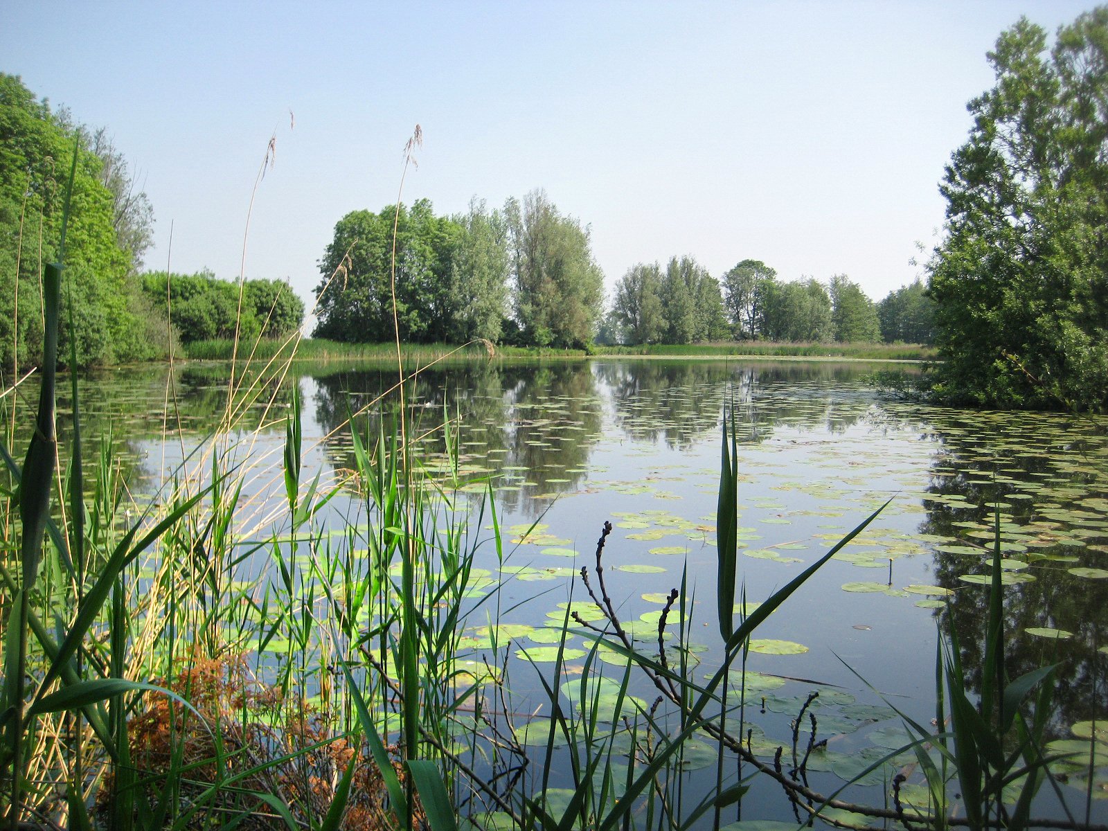 (1.1.19)2012 ijsseldelta e.a. 333