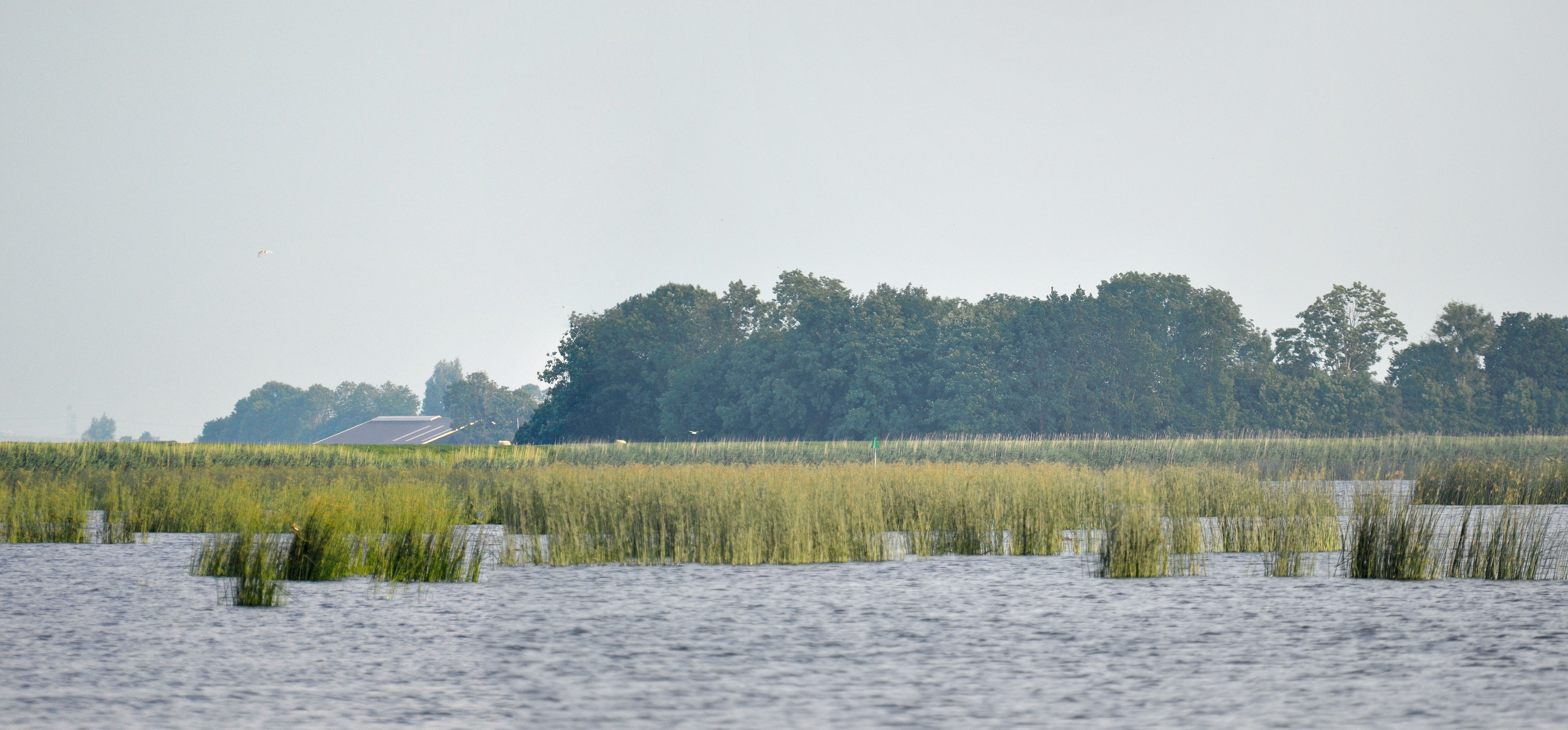 (6.1.15.2)Biezen en Riet_panorama1