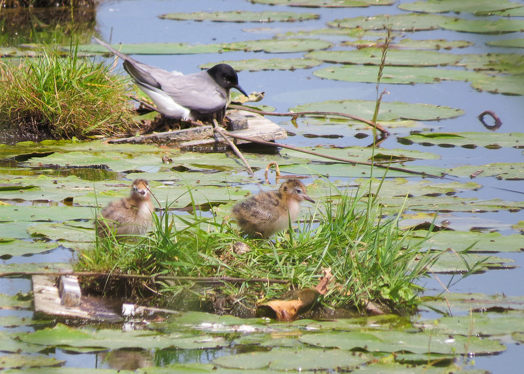 Headerfotos home slider4