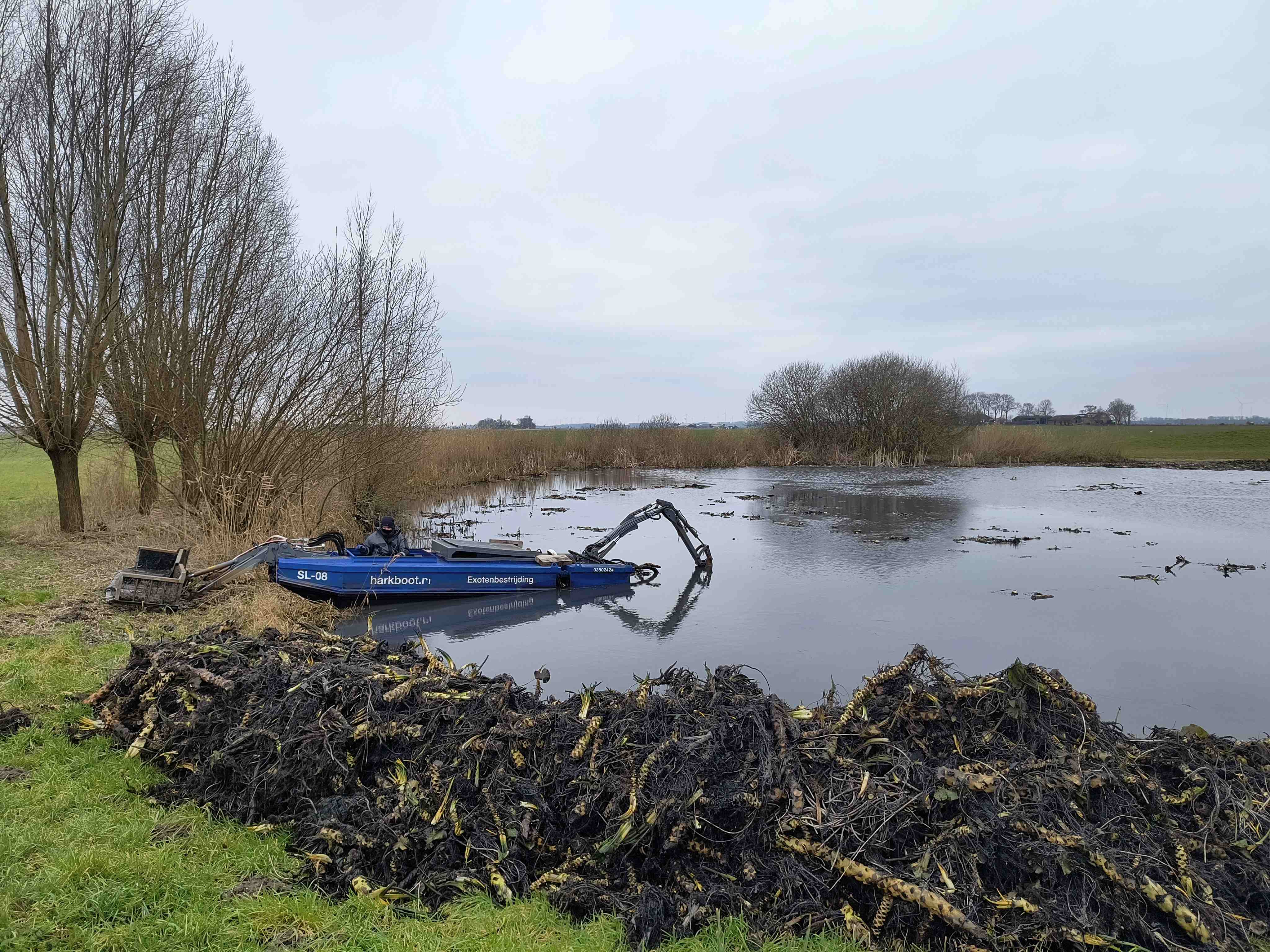Kolk Hogeweg Kamperveen - 1