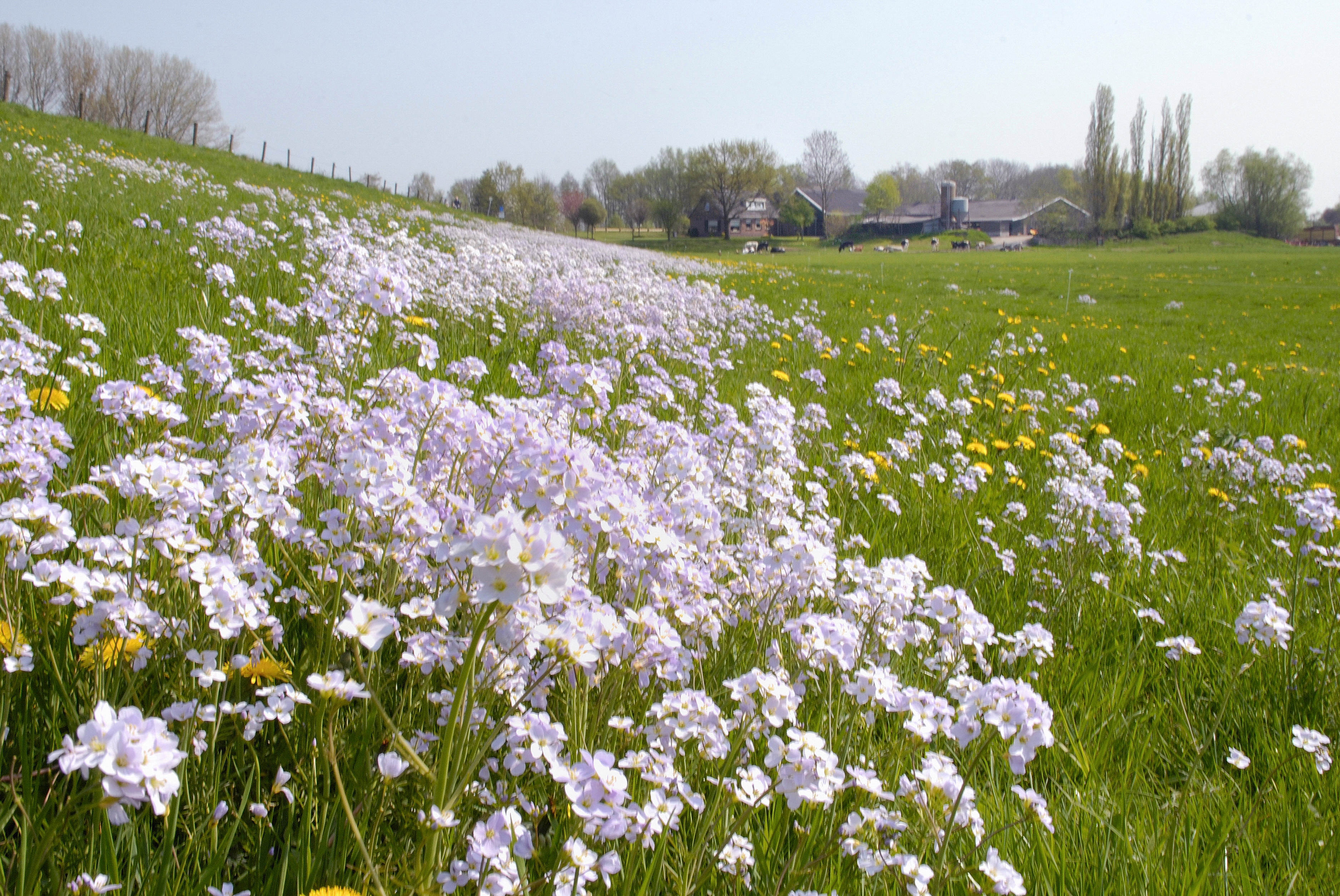 Voortuin van Zwolle selectie (38)