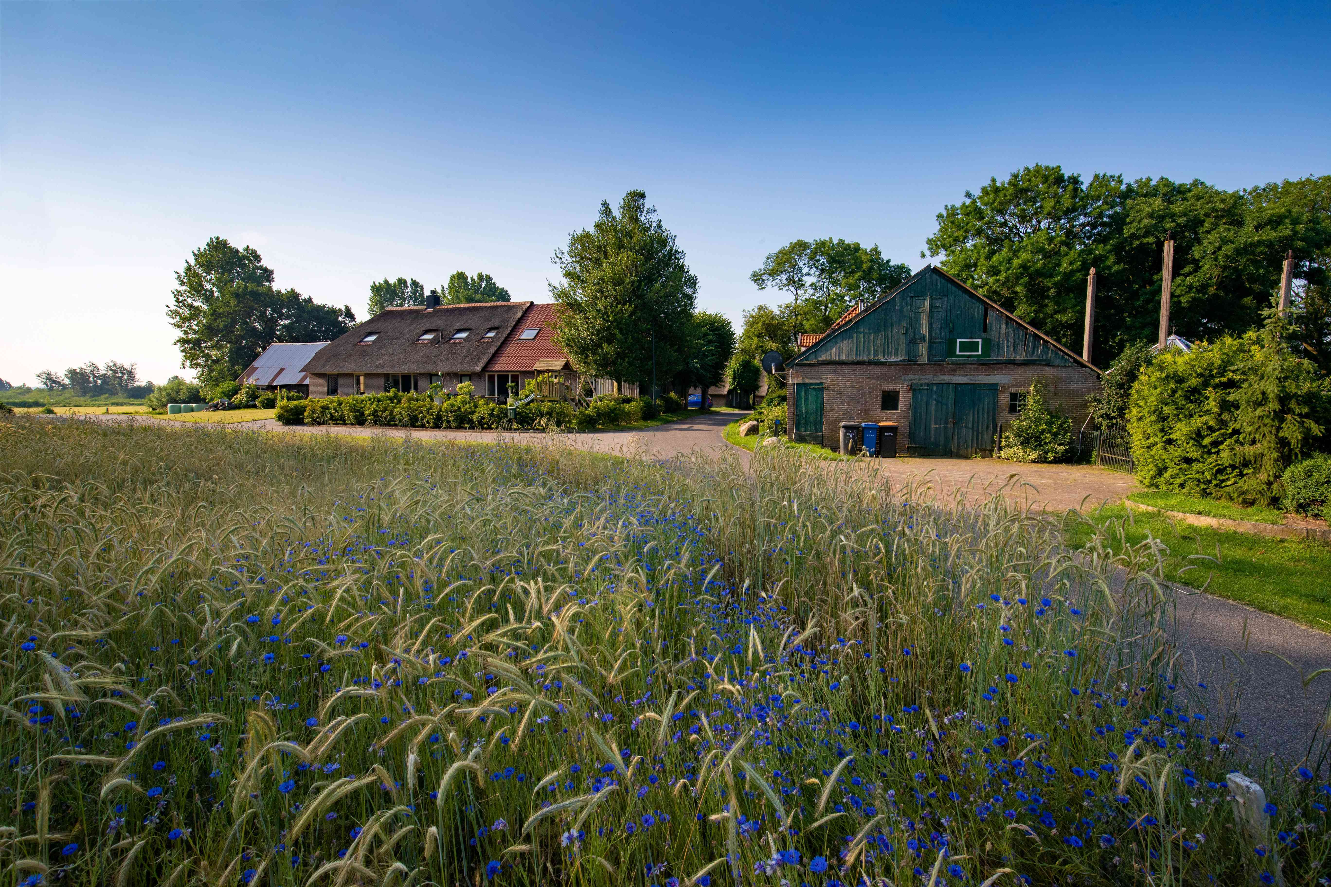 Zwartewatersklooster